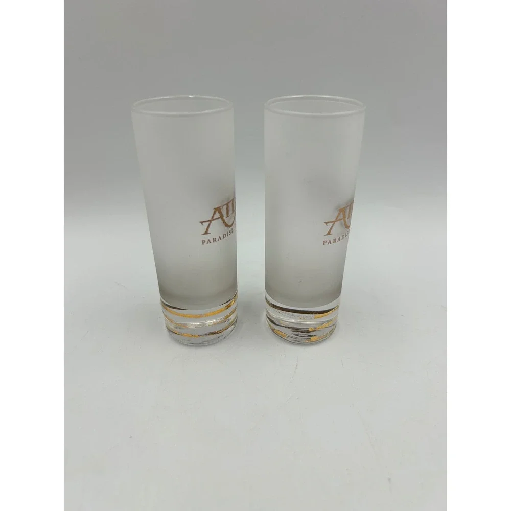 Atlantis Pair of Tall Shot Glasses Frosted Gold Bahamas Souvenir EUC Set of 2